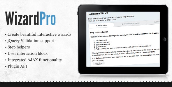 Wizard Pro