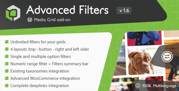 Media Grid - Advanced Filters add-on