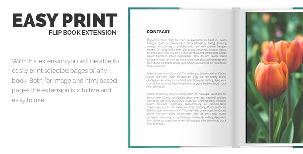 Print FlipBook Extension